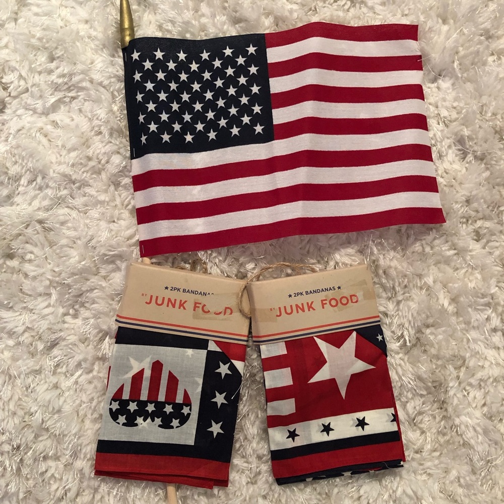 Patriotic  Red White & Blue Junk Food Bandanas